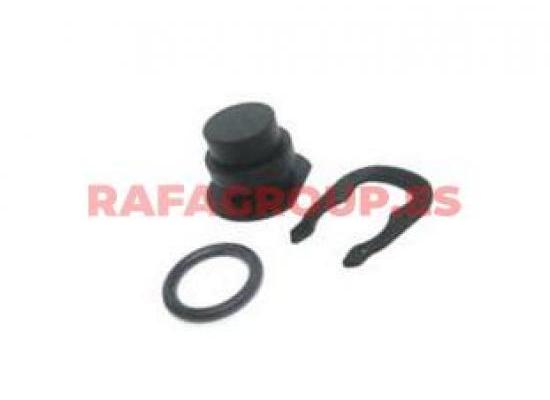 RG2050 - Tapón, brida de refrigerante